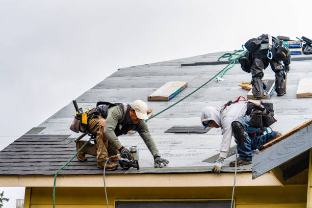 Professional Roofing technician working in Davis Station, SC